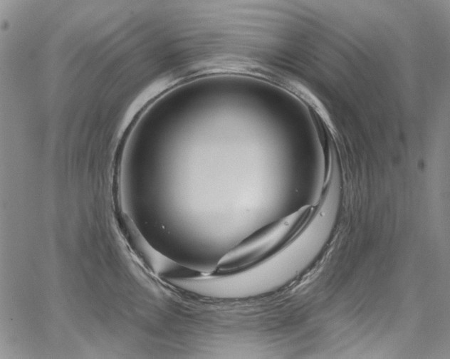 X0000067531146200604071340