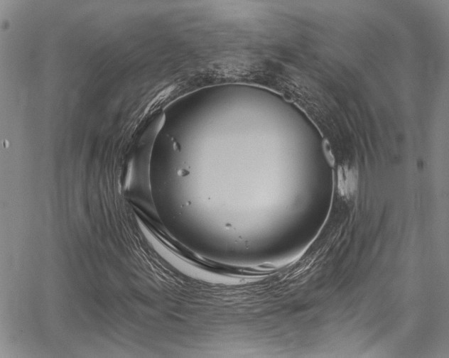 X0000067531155200604071339