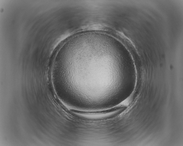 X0000067531166200604071339