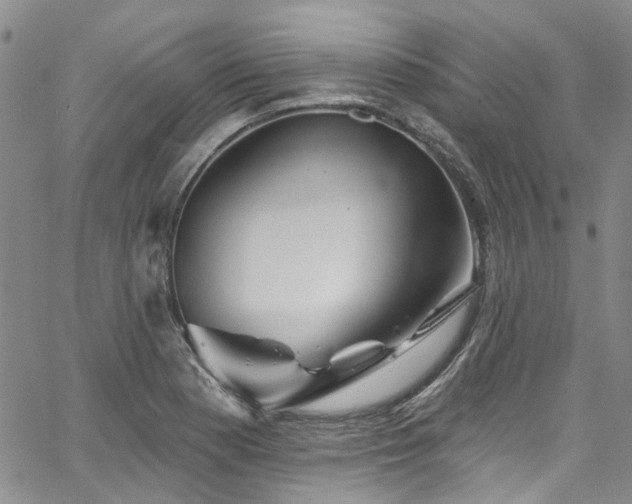 X0000067531177200604071339