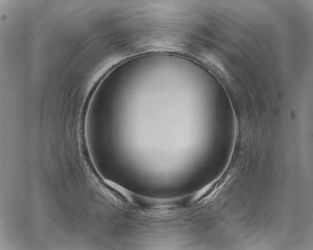 X0000067531182200604071339