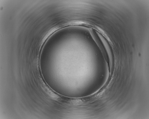 X0000067531186200604071339