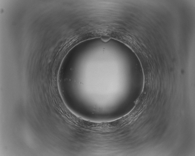 X0000067531201200604071338