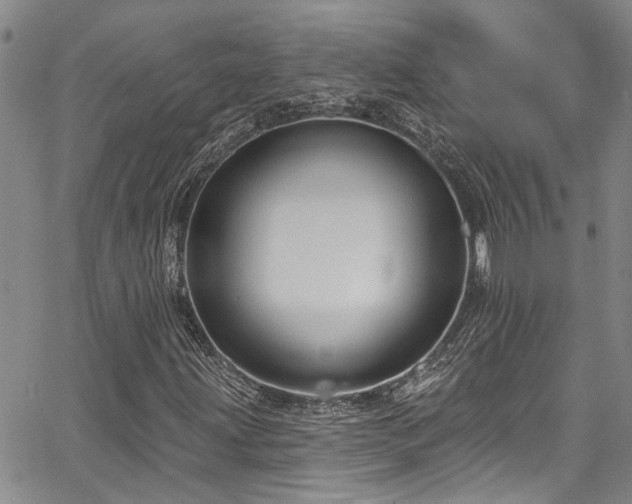 X0000067531203200604071338