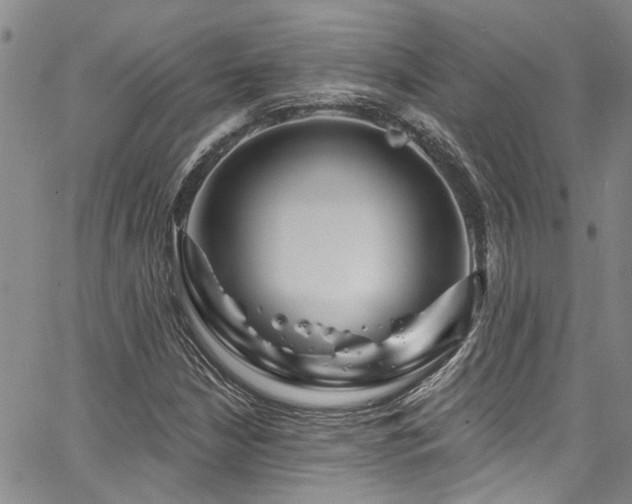 X0000067531210200604071338