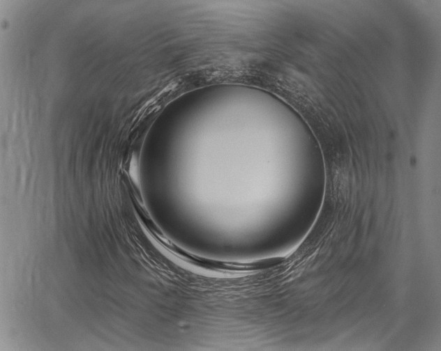 X0000067531250200604071337