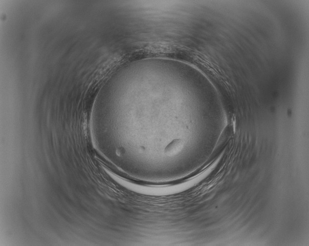 X0000067531251200604071337