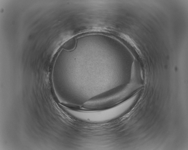 X0000067531260200604071337