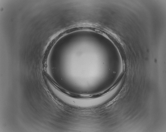 X0000067531264200604071337