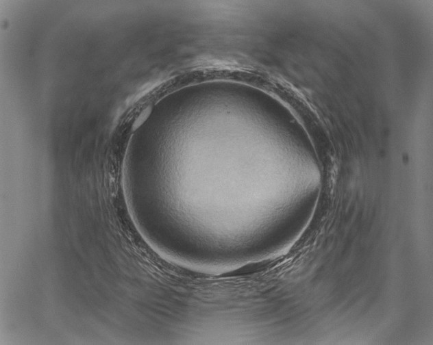 X0000067531303200604071336