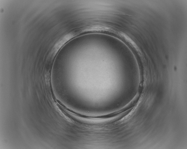 X0000067531329200604071336
