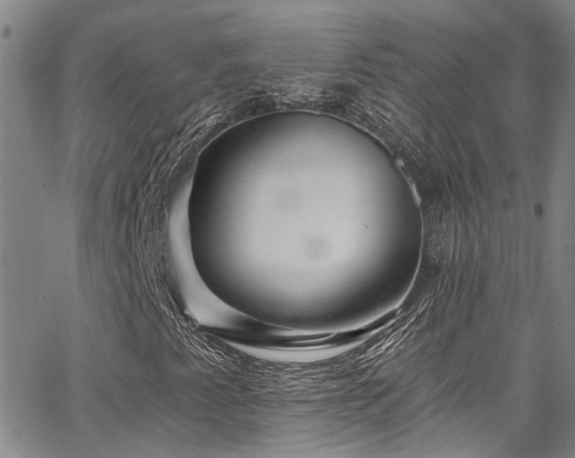 X0000067531345200604071336