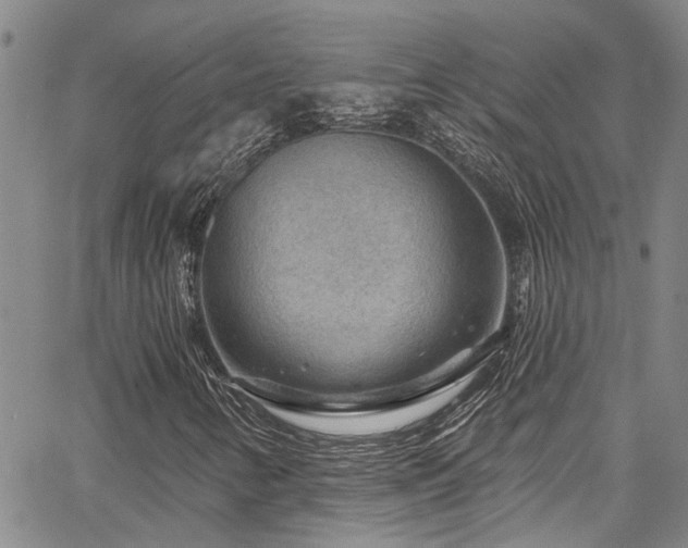 X0000067531346200604071336