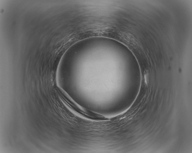 X0000067531347200604071336