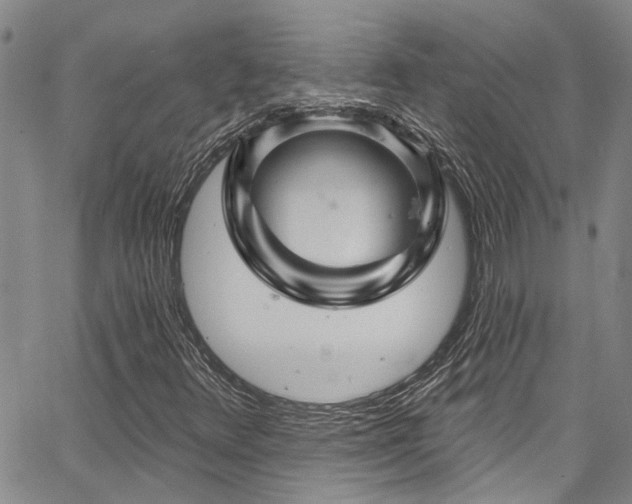 X0000067531348200604071336
