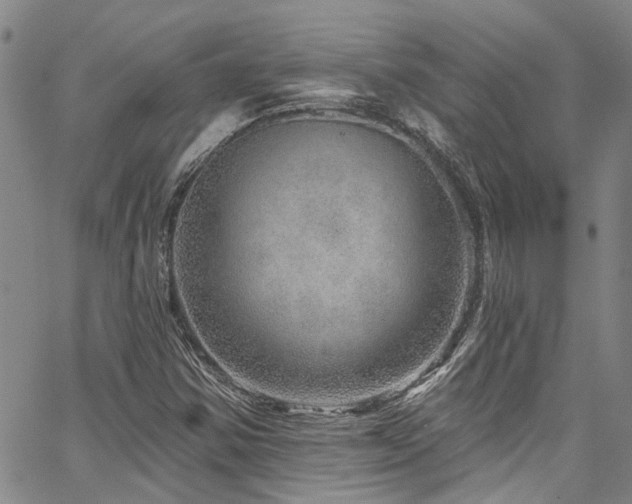 X0000067531354200604071336