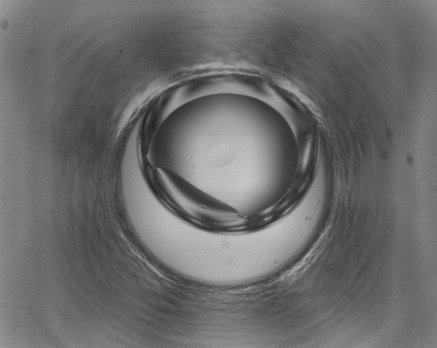 X0000067531357200604071336