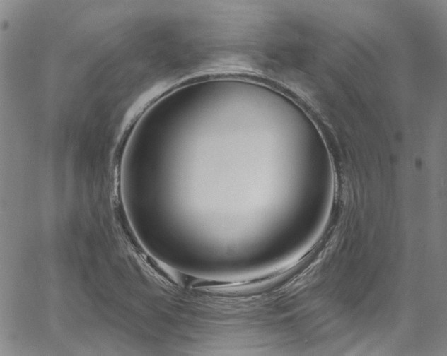 X0000067531366200604071336