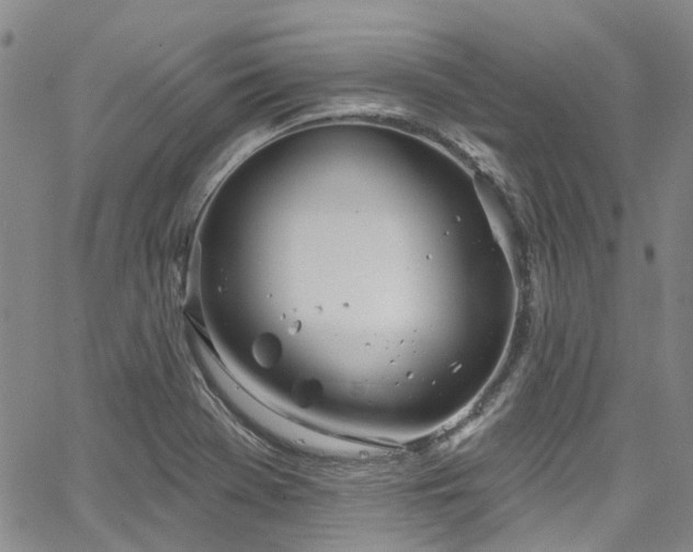 X0000067531369200604071336