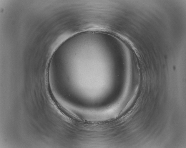 X0000067531375200604071335