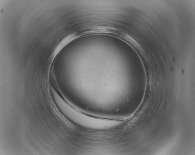 X0000067531378200604071335