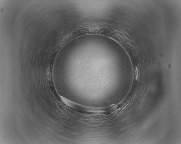 X0000067531395200604071334