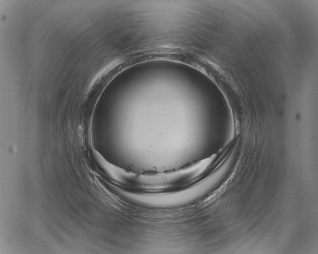 X0000067531402200604071335