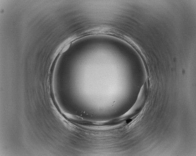 X0000067531434200604071335