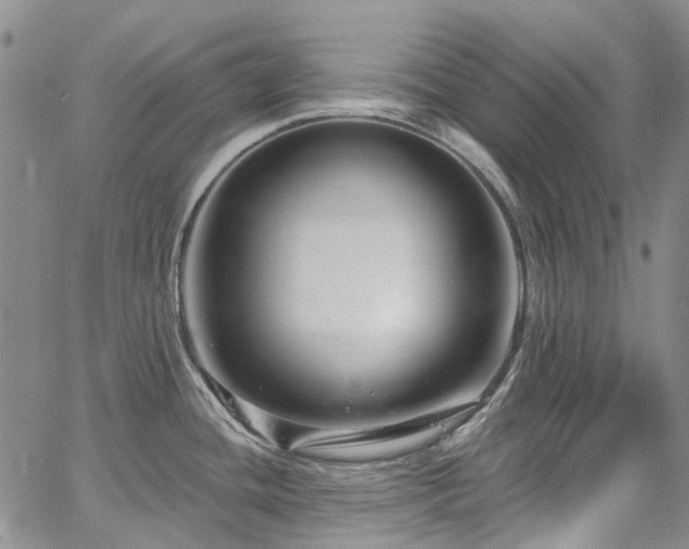 X0000067531436200604071335