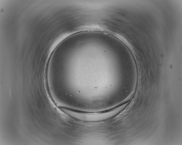 X0000067531440200604071335