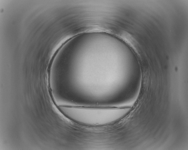 X0000067531476200604071334