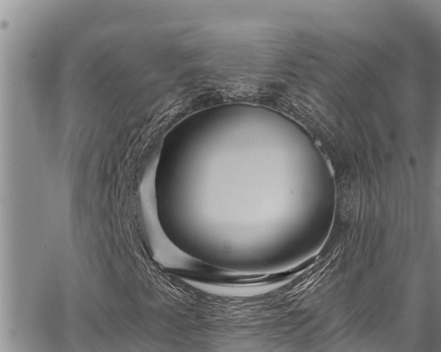 X0000067531345200604101341