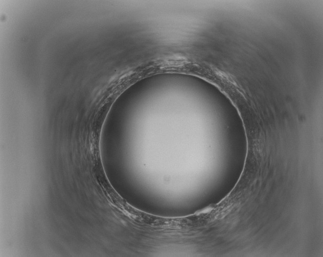 X0000067531445200604101339