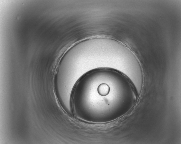 X0000067530001200604150237