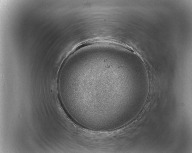 X0000067530002200604150237