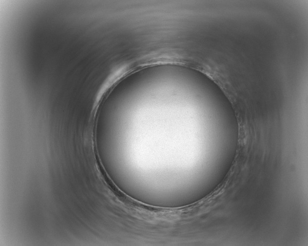 X0000067530004200604150237