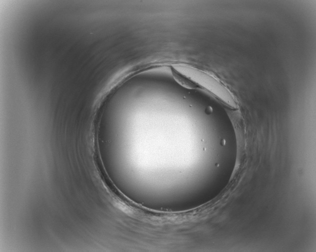 X0000067530005200604150237