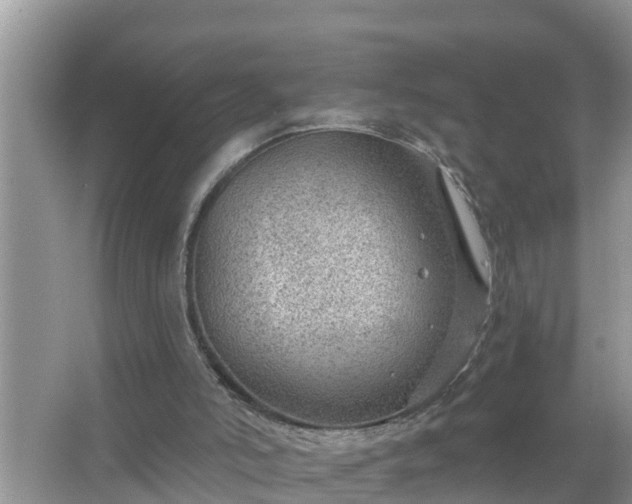 X0000067530006200604150237