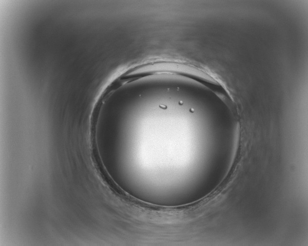 X0000067530008200604150237