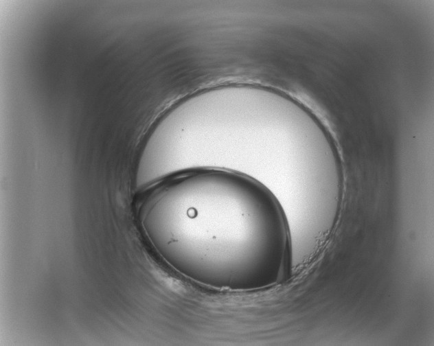 X0000067530009200604150237