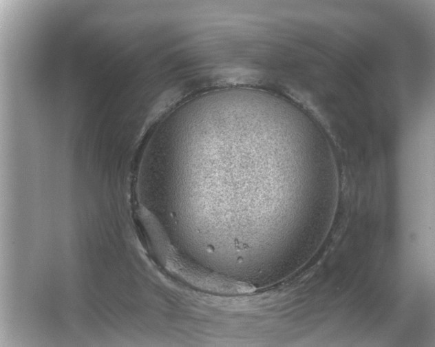 X0000067530010200604150237