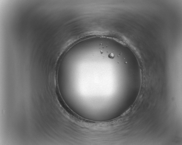 X0000067530011200604150237