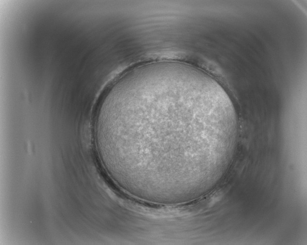 X0000067530012200604150237