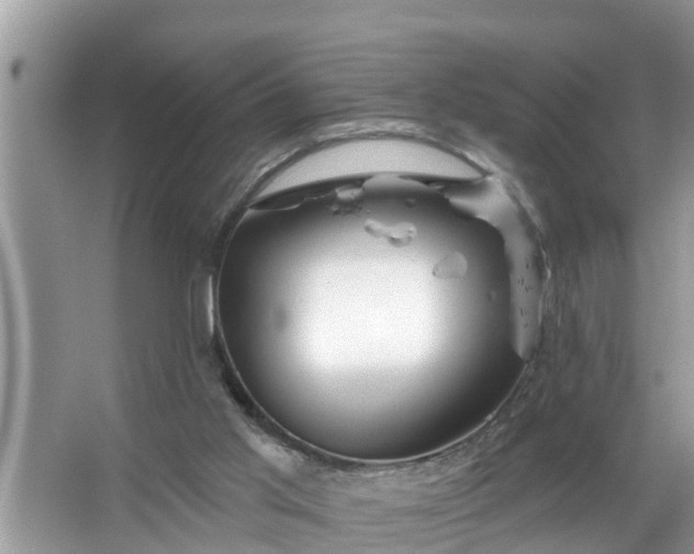 X0000067530013200604150237