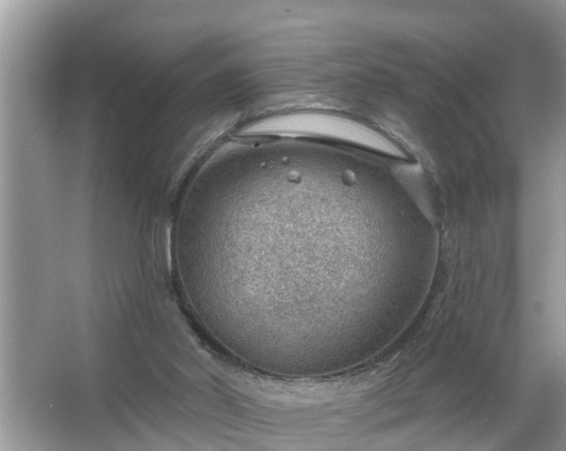 X0000067530014200604150237