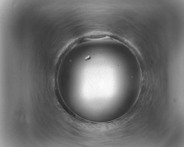 X0000067530015200604150237