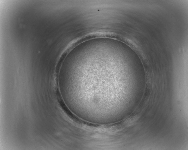 X0000067530016200604150237