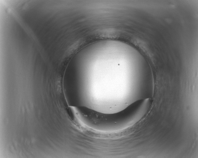 X0000067530017200604150237