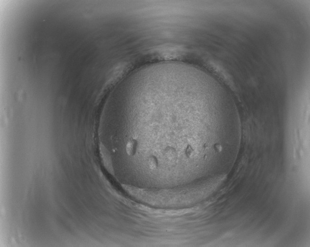 X0000067530018200604150237