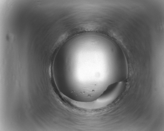 X0000067530019200604150237